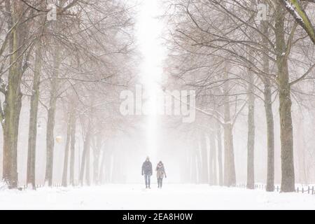 Berlin, Berlin, Germany. 8th Feb, 2021. Two persons walk in the middle of an avenue in Tiergarten Park during snowfall in Central Berlin. The German Weather Service warns of heavy snowfall with wind drifts at temperatures reaching levels well below the freezing point. Credit: Jan Scheunert/ZUMA Wire/Alamy Live News Stock Photo