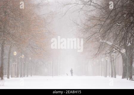 Berlin, Berlin, Germany. 8th Feb, 2021. The silhouette of a person together with a dog can be seen in the middle of an avenue in Tiergarten Park during snowfall in Central Berlin. The German Weather Service warns of heavy snowfall with wind drifts at temperatures reaching levels well below the freezing point. Credit: Jan Scheunert/ZUMA Wire/Alamy Live News Stock Photo