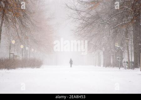 Berlin, Berlin, Germany. 8th Feb, 2021. The silhouette of a person can be seen in the middle of an avenue in Tiergarten Park during snowfall in Central Berlin. The German Weather Service warns of heavy snowfall with wind drifts at temperatures reaching levels well below the freezing point. Credit: Jan Scheunert/ZUMA Wire/Alamy Live News Stock Photo