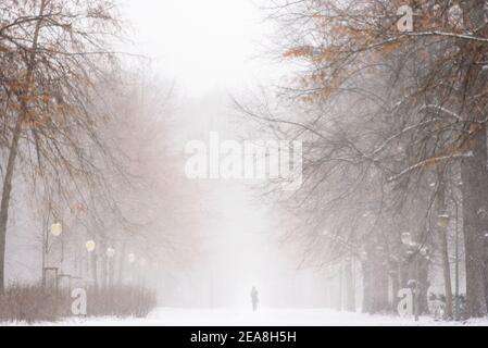 Berlin, Berlin, Germany. 8th Feb, 2021. The silhouette of a person can be seen in the middle of an avenue in Tiergarten Park during snowfall in Central Berlin. The German Weather Service warns of heavy snowfall with wind drifts at temperatures reaching levels well below the freezing point. Credit: Jan Scheunert/ZUMA Wire/Alamy Live News Stock Photo