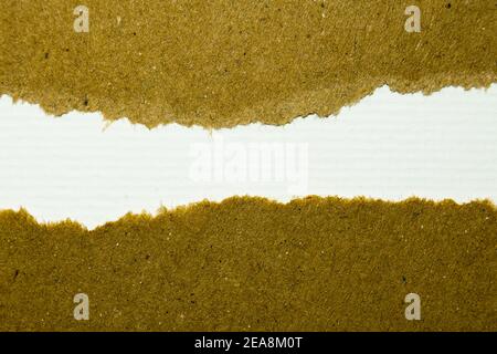 Ripped brown paper on white background, space for copy Stock Photo
