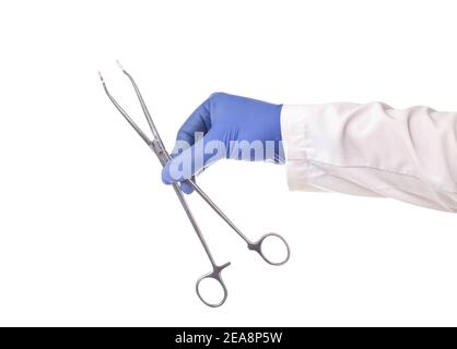 Doctor in a medical glove holds a surgical scissors on a white background, isolate. Close-up, veterinarian Stock Photo