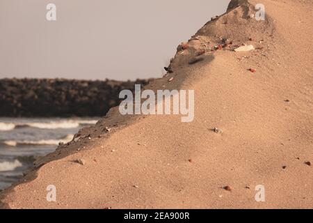 View of sand dune with beach in background, Kovalam, Chennai, India Stock Photo