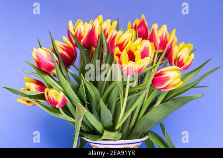 Beautiful bunch of vivid red and yellow tulips Stock Photo