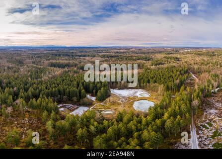 Aerial view of a small lakes inside a forest with conifer trees. Idyllic winter moment with the alp mountains in the background. Want you to have a Stock Photo