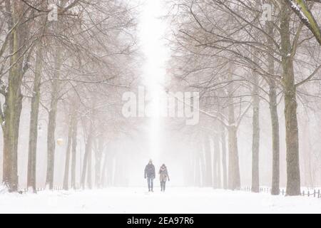 Berlin, Germany. 8th Feb, 2021. Two persons walk in the middle of an avenue in Tiergarten Park during snowfall in Central Berlin. The German Weather Service warns of heavy snowfall with wind drifts at temperatures reaching levels well below the freezing point. Credit: Jan Scheunert/ZUMA Wire/Alamy Live News Stock Photo