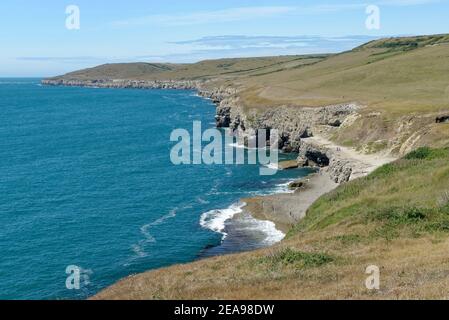 View along the Dorset coast with Dancing Ledge in the foreground and St. Alban’s Head in the background, near Swanage, Dorset, UK, August. Stock Photo