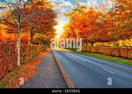 Irish National Stud, Red Irish country side, Kildare, Ireland Stock Photo