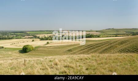 View towards Cherhill Down and the Lansdowne Monument from Morgan’s Hill, Marlborough Downs, near Calne, Wiltshire, UK, July 2020. Stock Photo
