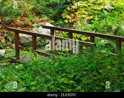 Europe, Germany, Hessen, Marburg, Botanical Garden of the Philipps University on the Lahn Mountains, wooden bridge in the Farn Gorge Stock Photo