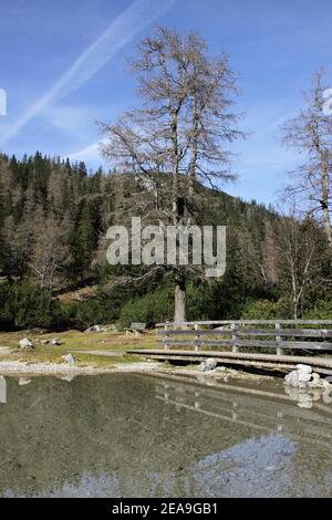 Austria, Tyrol, Ehrwald, Seebensee, Zugspitze, mirroring, water surface, Zugspitz massif, lake, mountain lake, mountains, alps, Wetterstein Mountains, mountain landscape, mountain landscape, idyll, mountain massif, mountain massif, heaven, rock, mountain lake, water, tourism, deserted, nature, Stock Photo