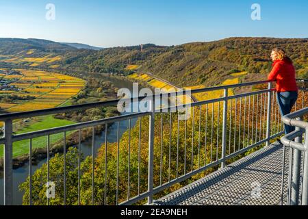 View from the Prinzenkopf tower near Pünderich, Moselle valley, Rhineland-Palatinate, Germany Stock Photo