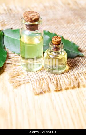 bay leaf oil in a small bottle.selecve focus nature Stock Photo
