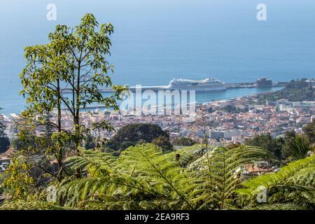 View from the mountain to the city of Funchalauf Madeira and a cruise ship lying in the harbor Stock Photo