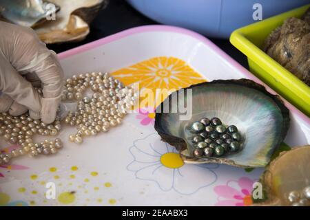 Cultured Pearls, Auslese, Vietnam Stock Photo