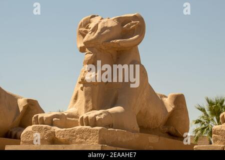 Karnak temple, Luxor, Egypt, Africa Stock Photo