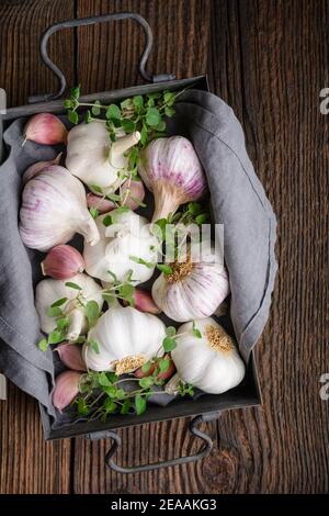 Natural antibiotic, fresh garlic bulbs with cloves on rustic wooden background Stock Photo