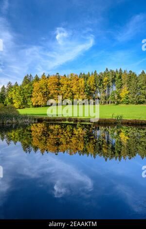 Germany, Bavaria, Upper Bavaria, Tölzer Land, Dietramszell, district Humbach, pond in the FFH area near Humbach