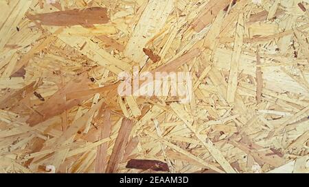Wooden shavings panel background, texture of oriented strand board, OSB. Stock Photo