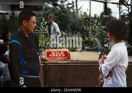 Chippen Taiwan Smiling Chinese Man With Glasses Stock Photo