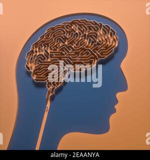 Brain shaped maze. Conceptual image of science and medicine. 3D illustration. Stock Photo