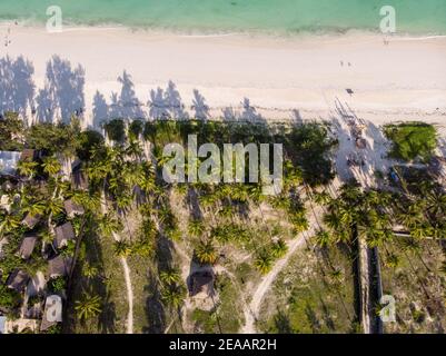 Aerial Top View on Paje Beach With Palm Trees Shadows at Evening Time. Paje village, Zanzibar, Tanzania Stock Photo