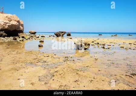 Coral reefs on the beach near hotel Stock Photo