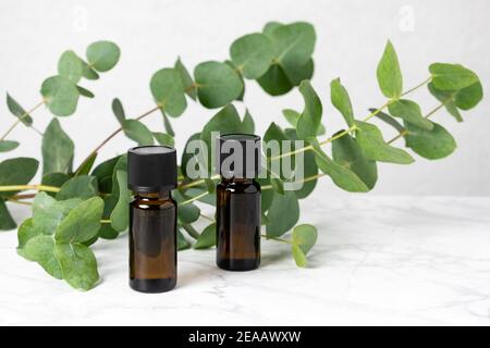 Two amber bottles of eucalyptus essential oil and fresh eucalyptus leaves on marble table. Natural cosmetic ingredients for skin care products. Herbal Stock Photo