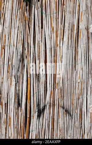 Vertical wall texture of white painted bamboo. Stock Photo