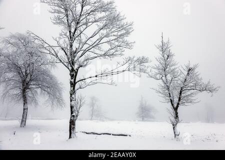 December 07, 2020, Winterberg, Sauerland, North Rhine-Westphalia, Germany, Snowy landscape on the Kahler Asten mountain in times of the corona crisis during the second part of the lockdown. 00X201207D046CARO Stock Photo