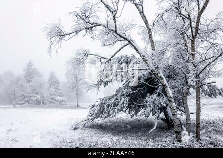 December 07, 2020, Winterberg, Sauerland, North Rhine-Westphalia, Germany, Snowy landscape on the Kahler Asten mountain in times of the corona crisis during the second part of the lockdown. 00X201207D060CARO Stock Photo