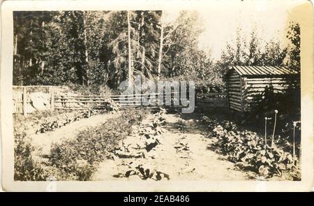 Naumann Garten 1 Stock Photo Alamy