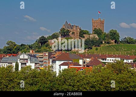 Bingen am Rhein, city panorama with Klopp Castle, Rhineland-Palatinate, Germany Stock Photo