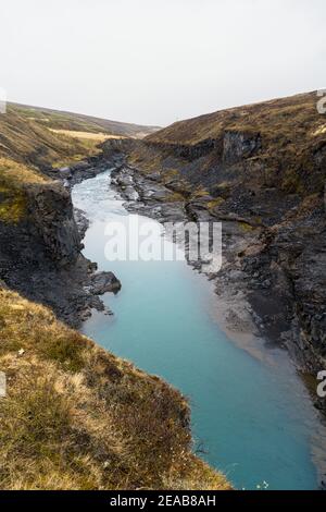 Iceland, Norðurland eystra, Stuðlagil, Water, Waterfall, River, Canyon, Flowers, Moss Stock Photo