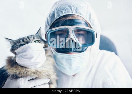 Man in bio-hazard suit and Kitten wear face shield. Cat in protection mask.  Stock Photo