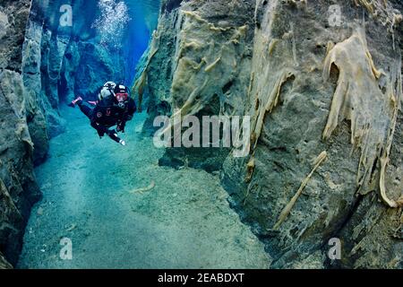 Nesgja, crystal clear freshwater fissure in Nesgja and divers, small tectonic continental fissure between America and Eurasia, Akureyri, northern Iceland Stock Photo