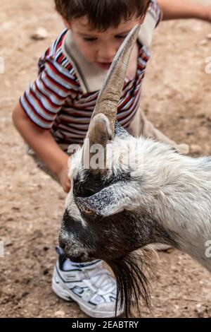 Closeup of goat and small boy at the Petting Barn in Jungle Island in Miami, Florida. Stock Photo