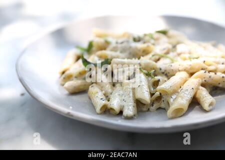 Penne pasta with white sauce and truffle , italian food Stock Photo
