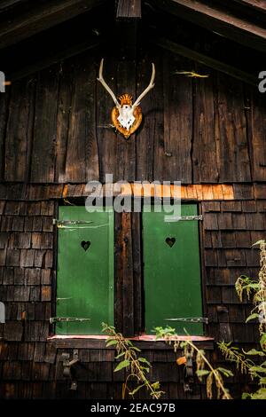 Green shutters and deer antlers on a hunting lodge Stock Photo