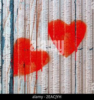 Two bright red hearts drawing on an old wooden fence painted in white, Valentine concept love background Stock Photo