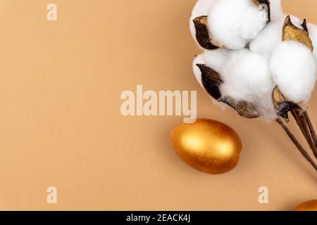 Festive easter layout. Cotton flower branch and gold painted eggs on beige background. Neutral colors Stock Photo