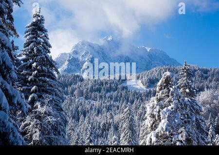 View from the Buckelwiesen near Mittenwald to the wooded Kranzberg and the Wetterstein Mountains Stock Photo