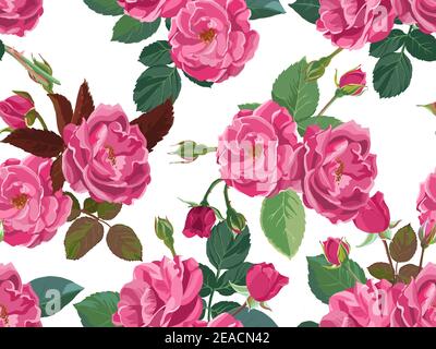 Pink roses or peonies in blossom seamless pattern Stock Vector