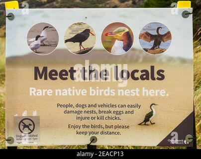 Native bird information at Banks Peninsula New Zealand Stock Photo