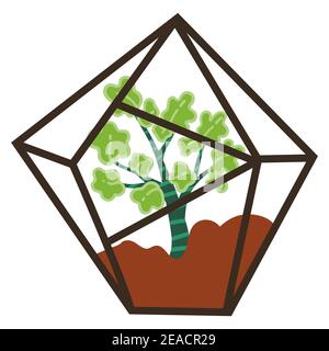 Small bonsai tree in glass pot, potted house plant Stock Vector