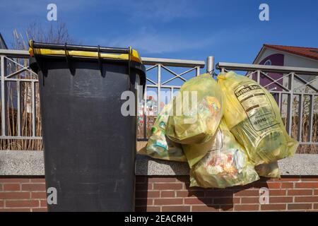 Yellow bin and yellow bags for plastic waste, hanging on a garden fence, Germany Stock Photo