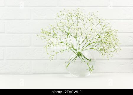 Fresh branches of gypsophila white flower stand in a glass vase. Spring is coming Stock Photo