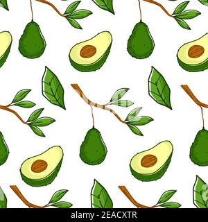Ripe avocado plant, growing on branch pattern Stock Vector