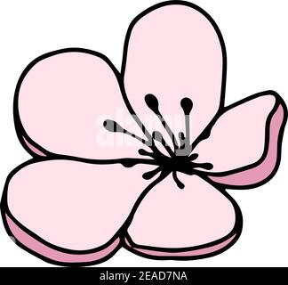 Vector silhouette of hand drawn pink magnolia flower isolated on white background. Vector illustration. Flowers natire spring doodle, sketch illustrat Stock Vector