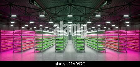 Hydroponic indoor vegetable plant factory in exhibition space warehouse. Interior of the farm hydroponics. Green salad farm in hydroponics. Lettuce Ro Stock Photo